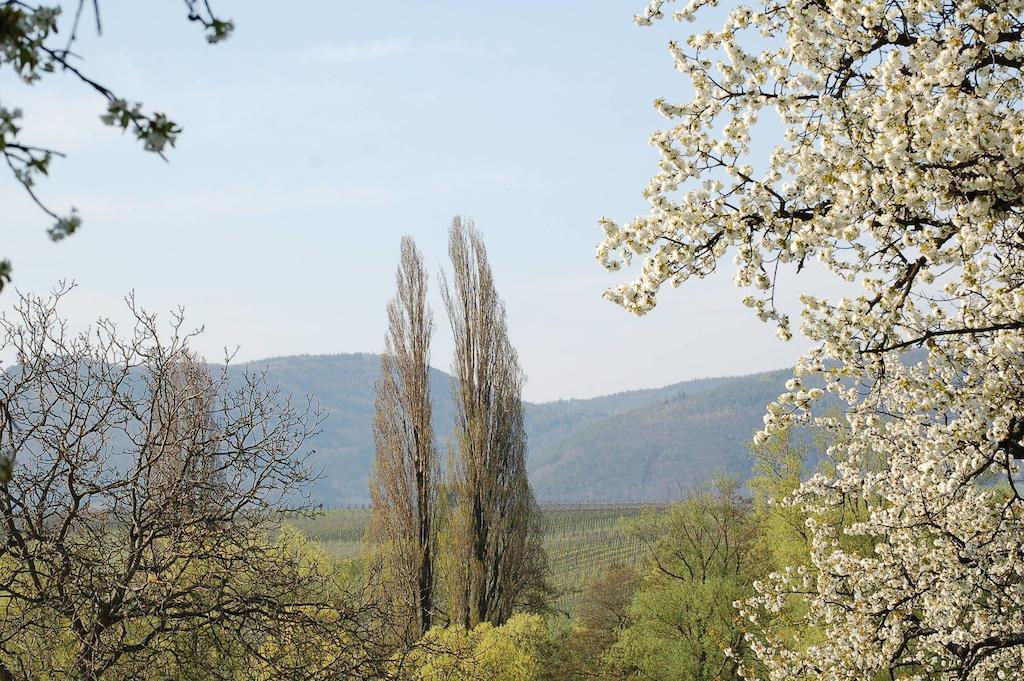 Gaestehaus Kleine Kalmit Λαντάου Εξωτερικό φωτογραφία